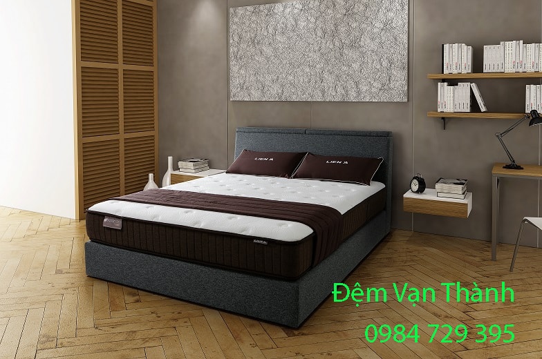 Mua gối cao su liên á 30x50 tại đâu
